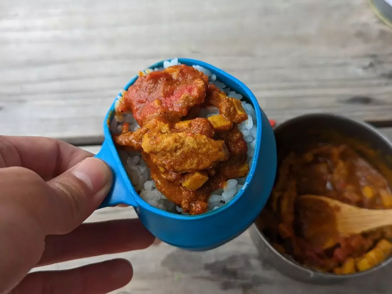 フィレタイプを使ったカレー