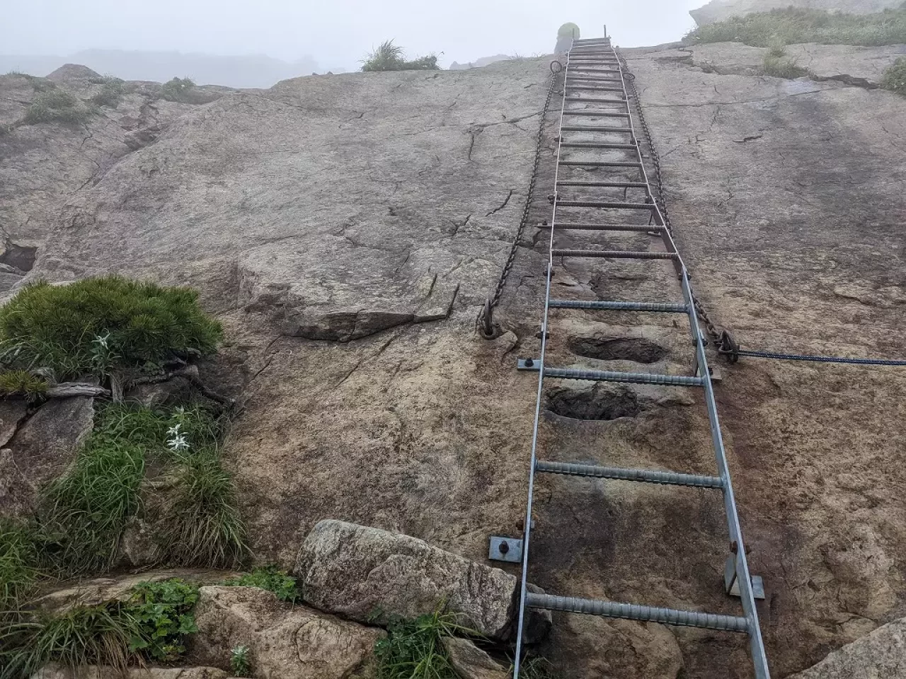 早池峰剣ヶ峰分岐前の鉄はしご