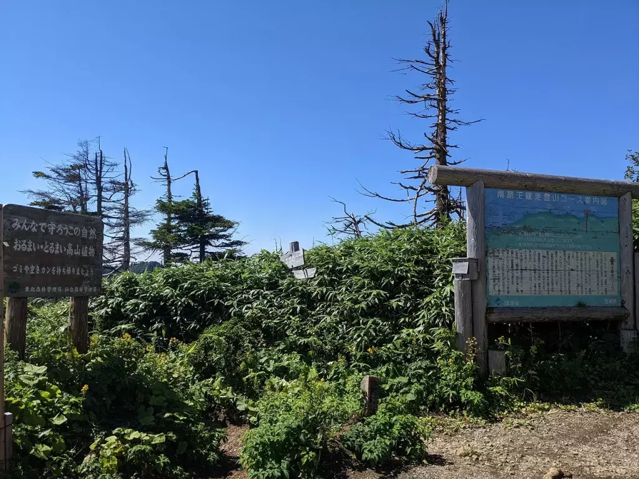 蔵王山 刈田峠登山口