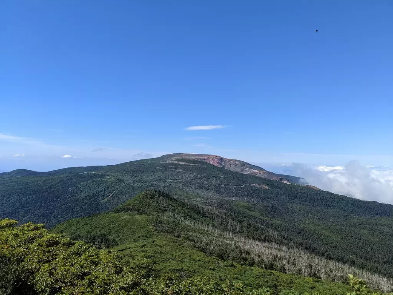 南蔵王縦走路から振り返る蔵王山(熊野岳)