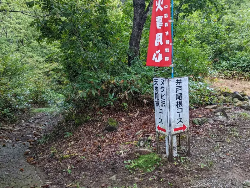 巻機山の人気ルート『井戸尾根コース』を徹底紹介・難易度