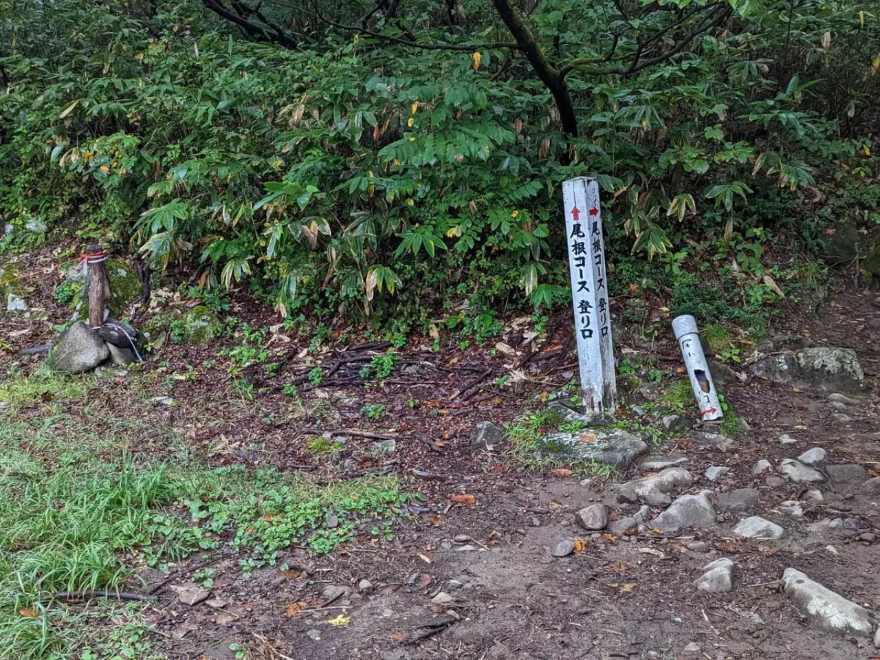 巻機山の人気ルート井戸尾根コースのレポート