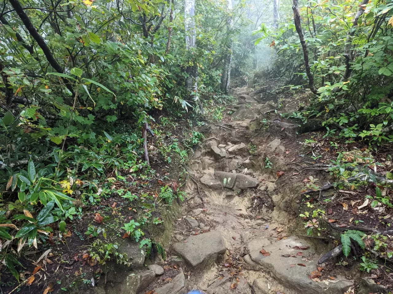 眺望はなく最初はゴロゴロした石の多い登山道
