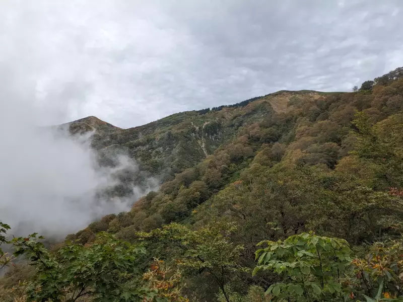 正面に割引岳