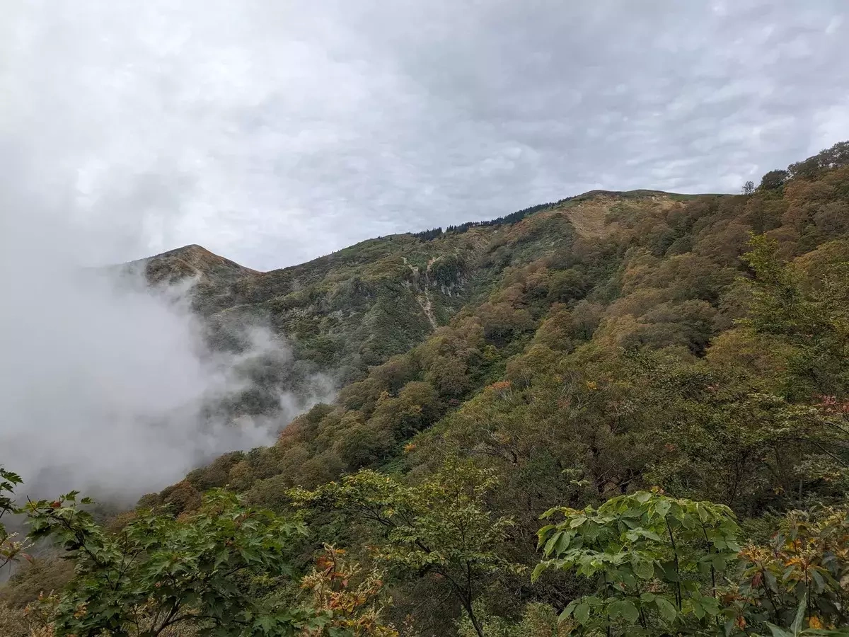 絶景を極める巻機山!日帰りで挑む難易度別登山ルート3選