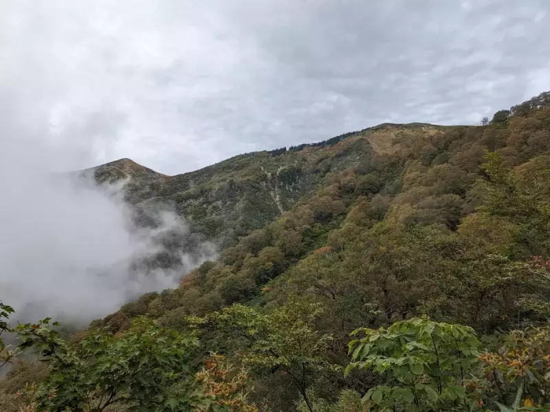 絶景を極める巻機山!日帰りで挑む難易度別登山ルート3選|ルート紹介から探す|登山・トレラン・山スキーマガジン「山旅旅」