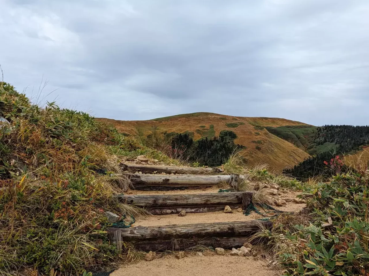 登山道は整備され木の階段