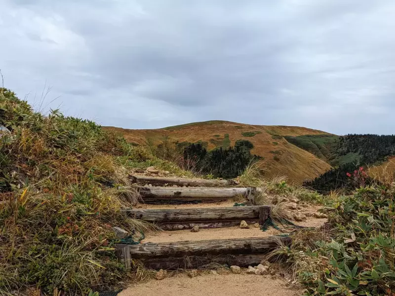 登山道は整備され木の階段