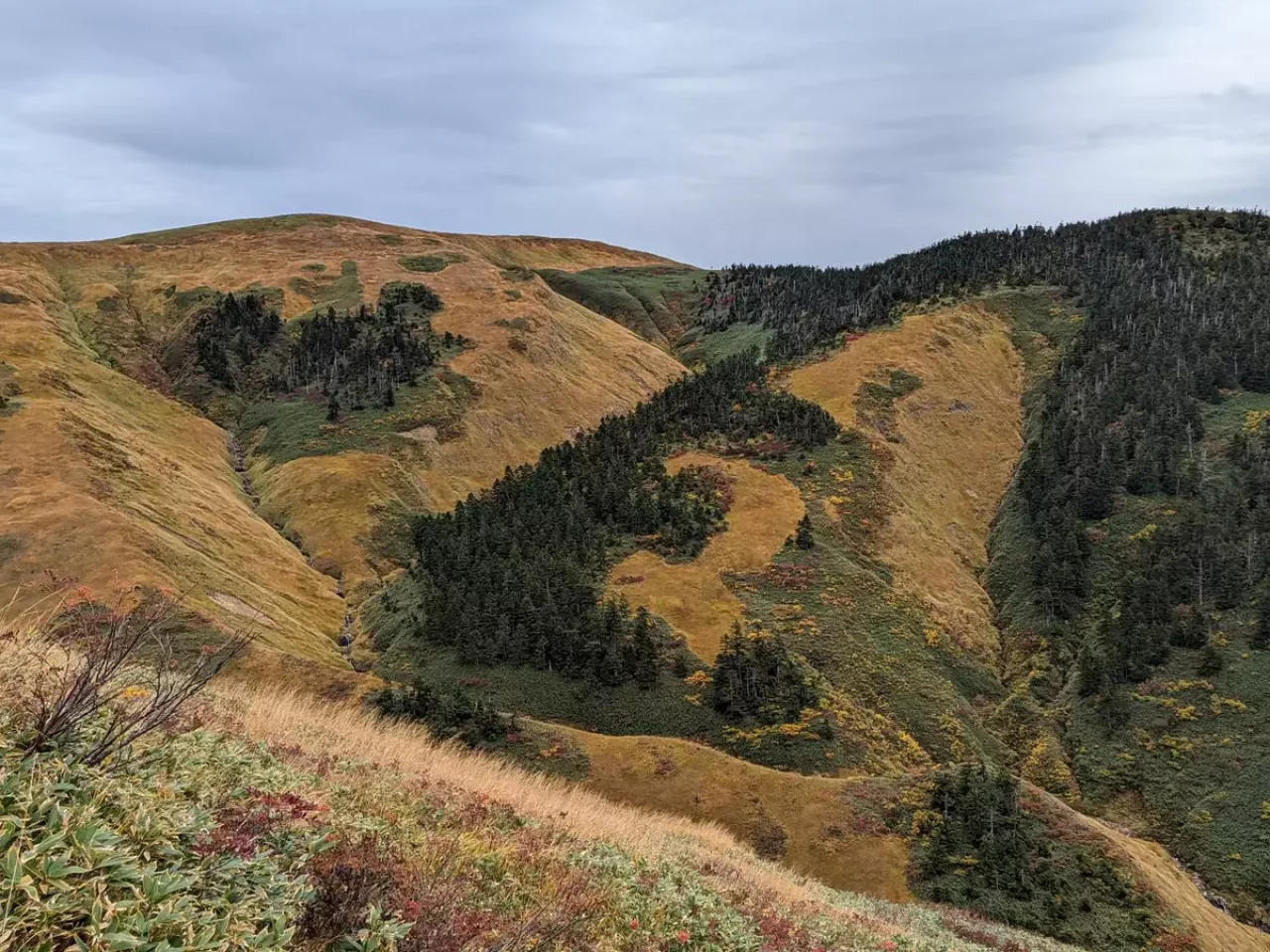 巻機山頂上を見ることができる