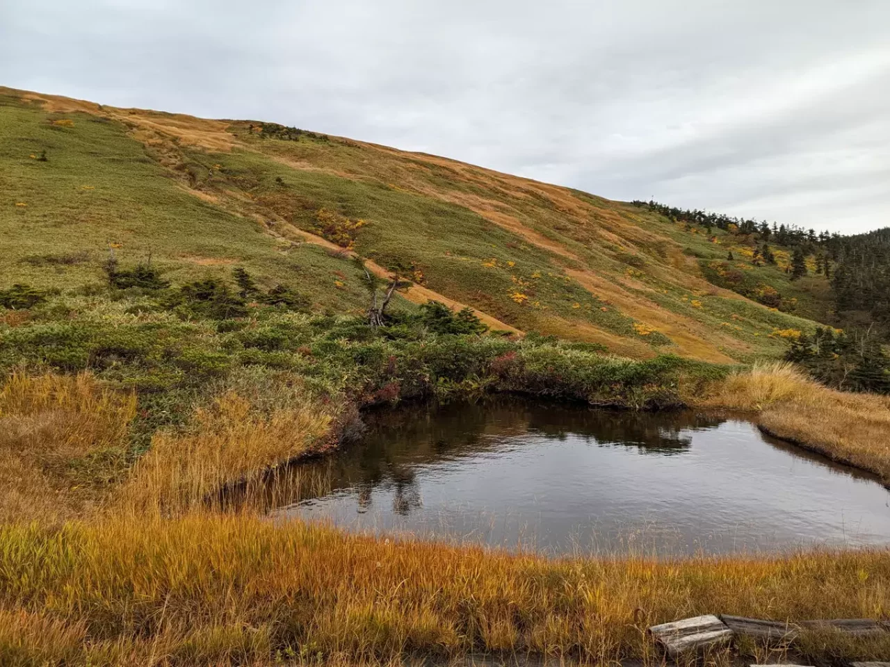 春夏秋冬で景色が変わる巻機山