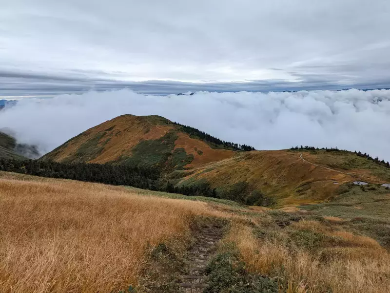 登山道を上から見渡す