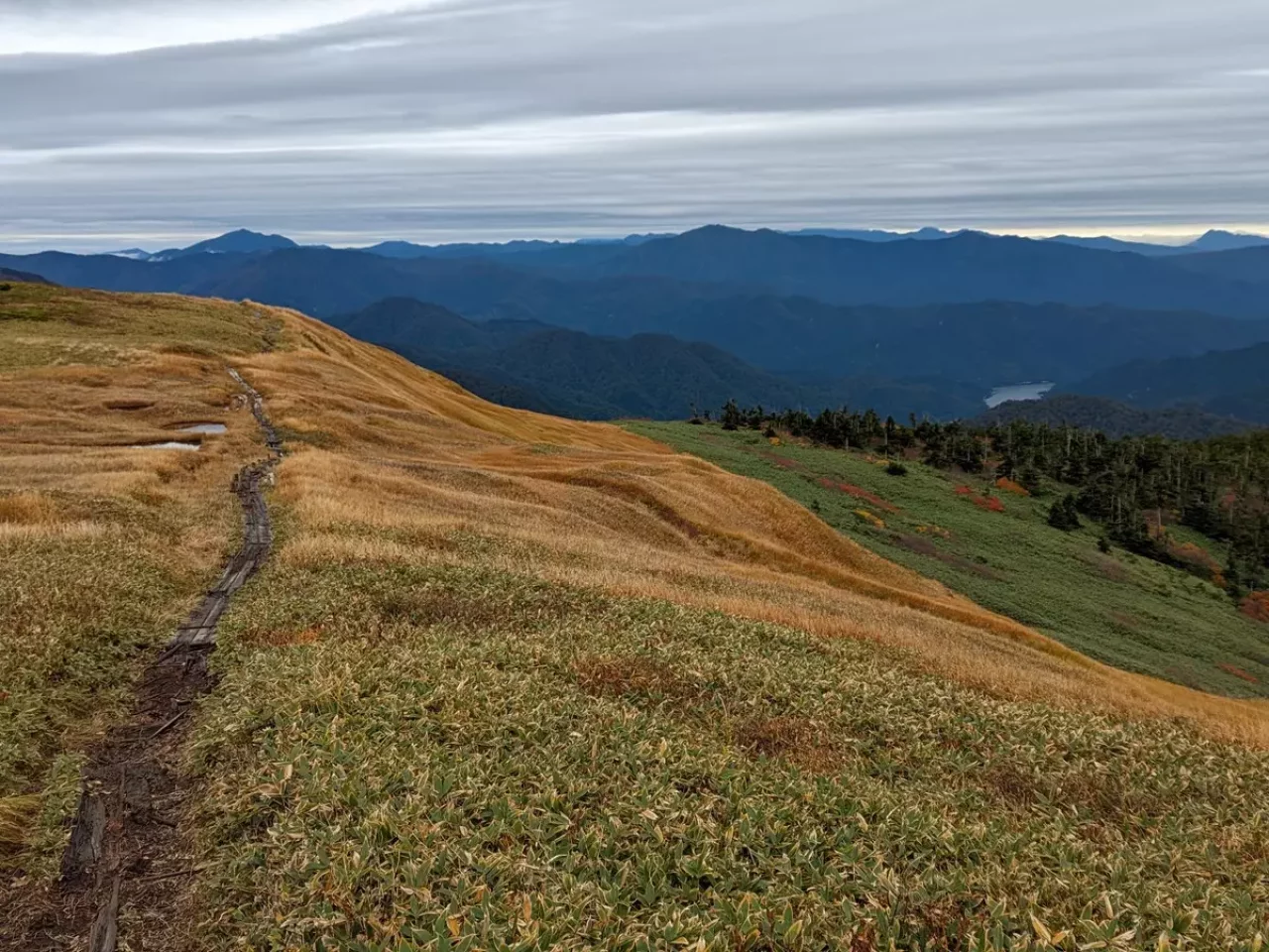 黄色が鮮やかな紅葉を楽しめる巻機山