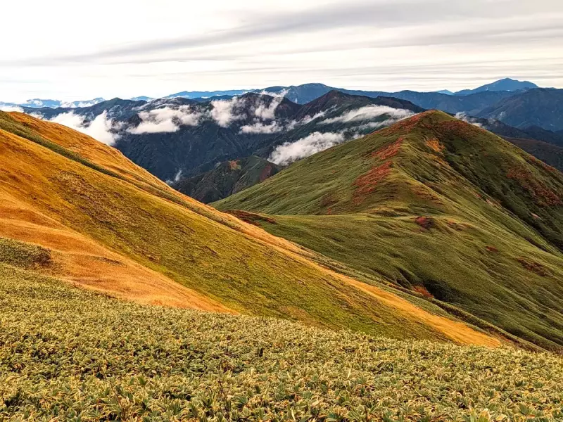 東京から日帰りで行けるおすすめ紅葉登山12選!紅葉時期と登山ルート徹底解説|登山レポート|レポート|山のコト|登山・トレラン・山スキーマガジン「山旅旅」
