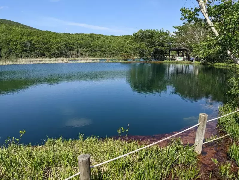 御在所沼湿原「赤沼」
八幡平 登山