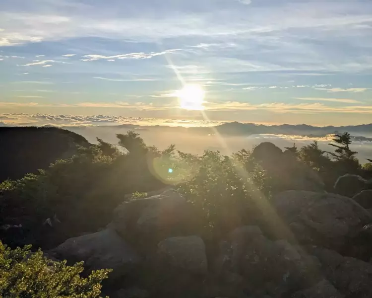 憧れの八ヶ岳体験記(北八ヶ岳編)白駒池~夏沢峠:<strong>人気の揚げパンや黒百合ヒュッテを楽しむ</strong>|登山レポート|レポート|山のコト|登山・トレラン・山スキーマガジン「山旅旅」