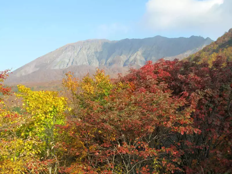 大山の紅葉