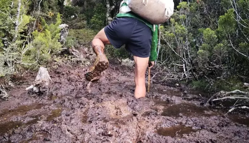 mud teararoa