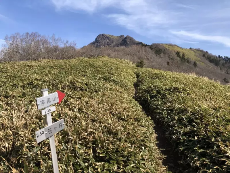 桑瀬峠から寒風山へ向かう登山道