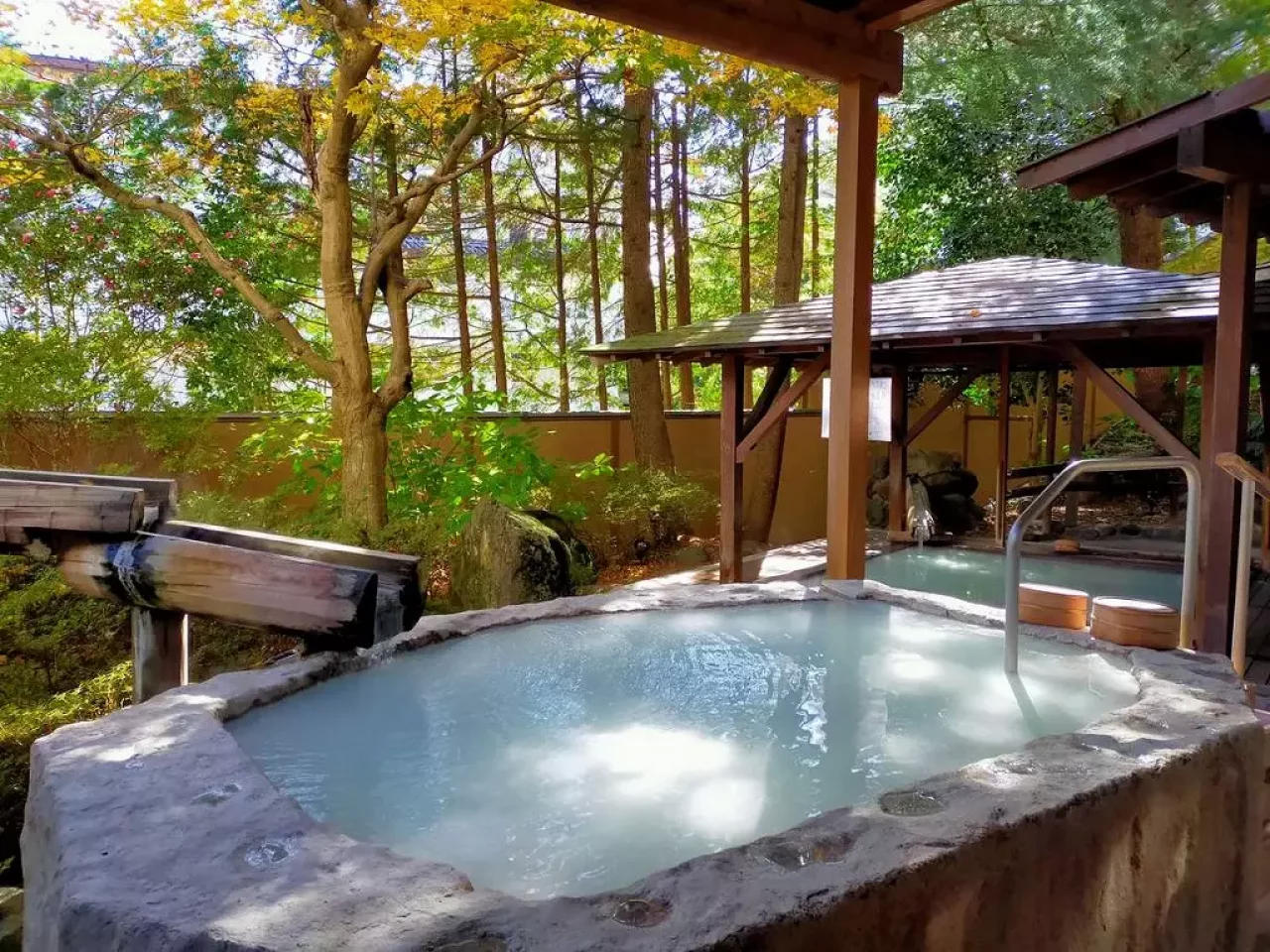 陽日の郷 あづま館 花見の湯