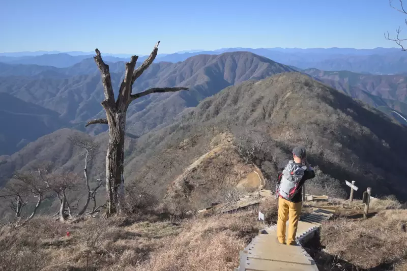 正面には奥多摩まで続く山々のレイヤー