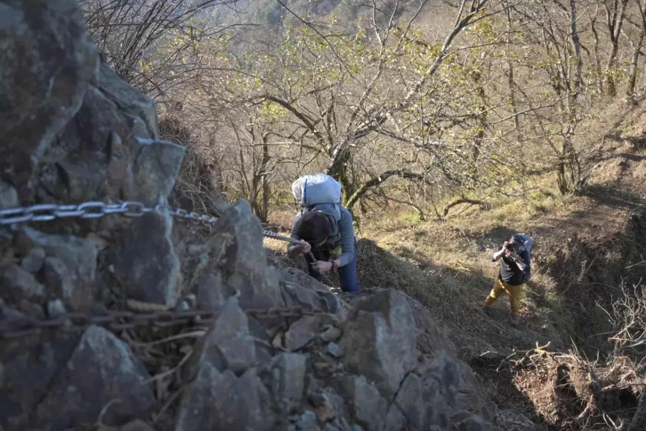 Nikon Z 50 登山 撮影 カメラ