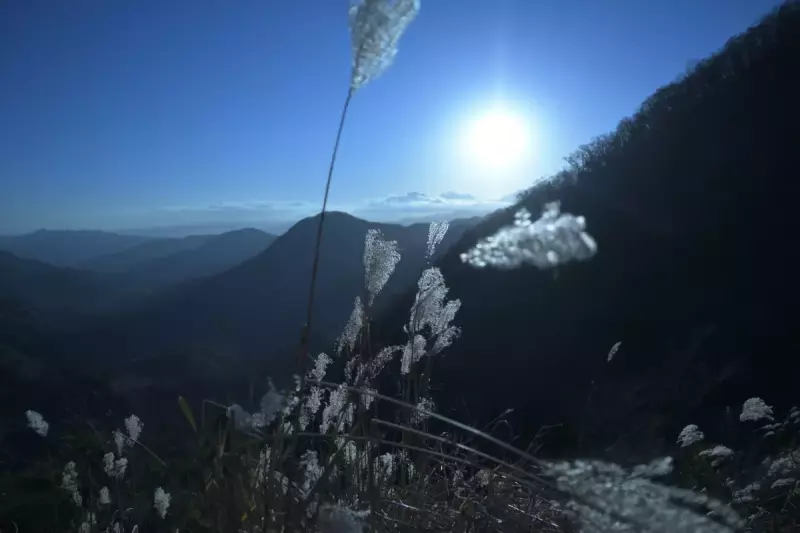 Nikon Z 50 登山 撮影 カメラ