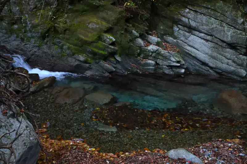 Nikon Z 50 登山 撮影 カメラ