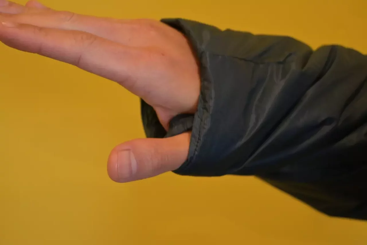 パタゴニア ダス・パーカー そで