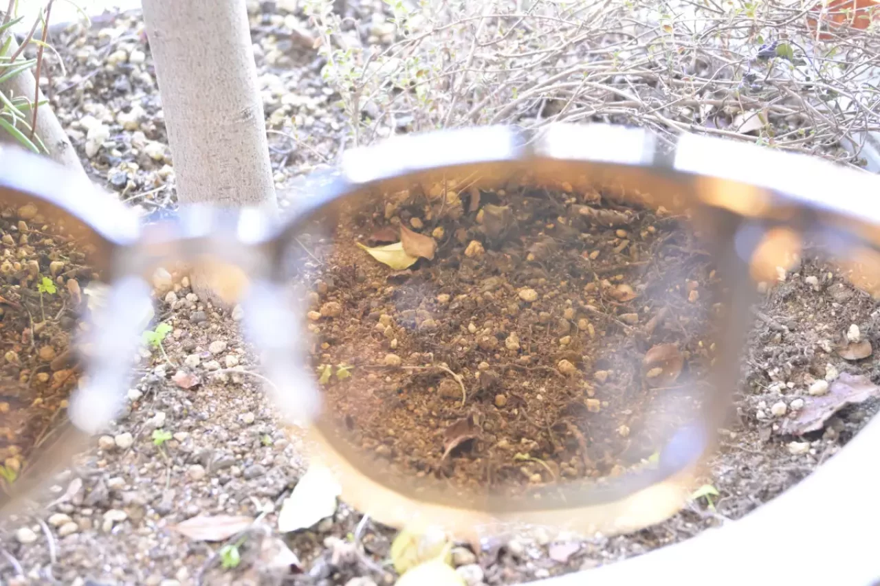 スワンズの偏光レンズ 見え方