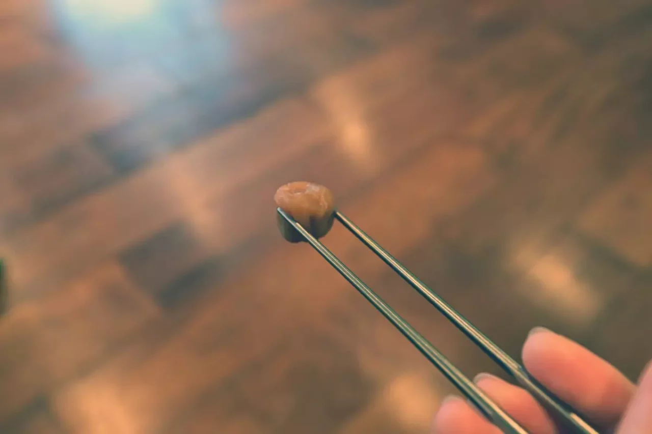 スノーピーク チタン先細箸 使いやすさ