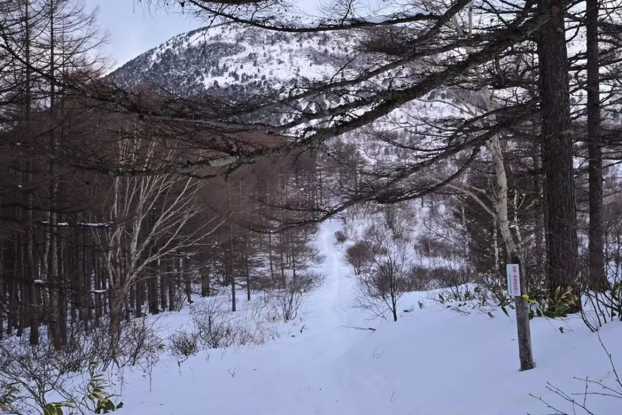 湯ノ丸山 登山 トレース