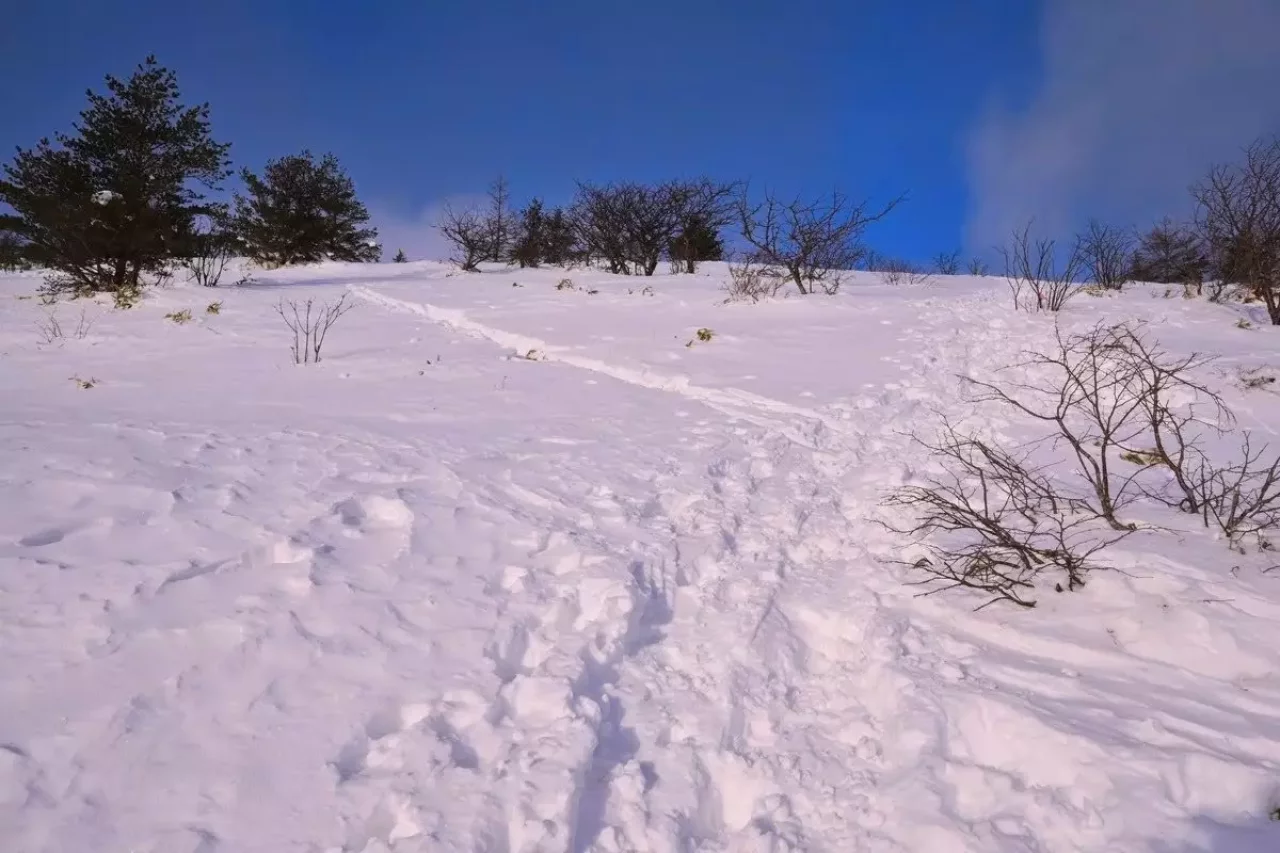 雪山初心者が選ぶべき登山コース