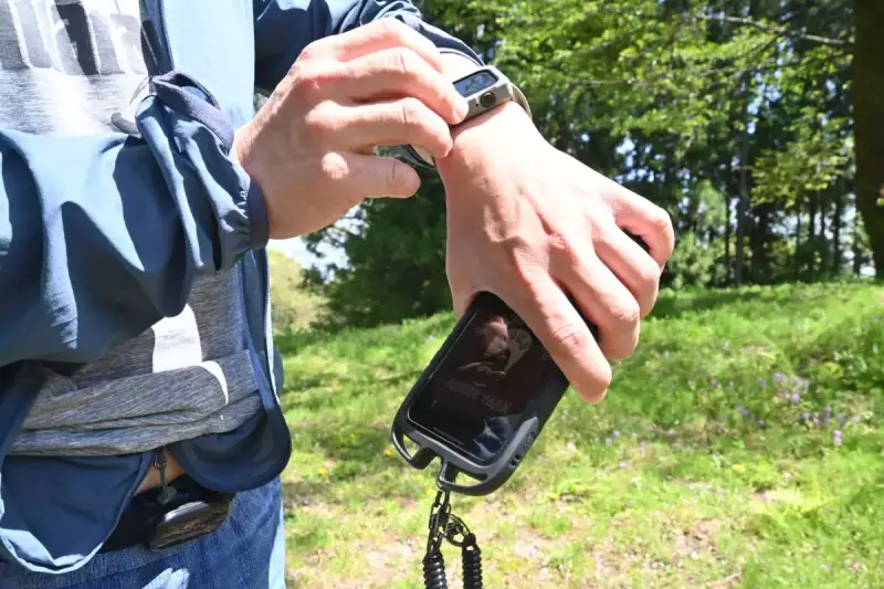 マフェトン理論