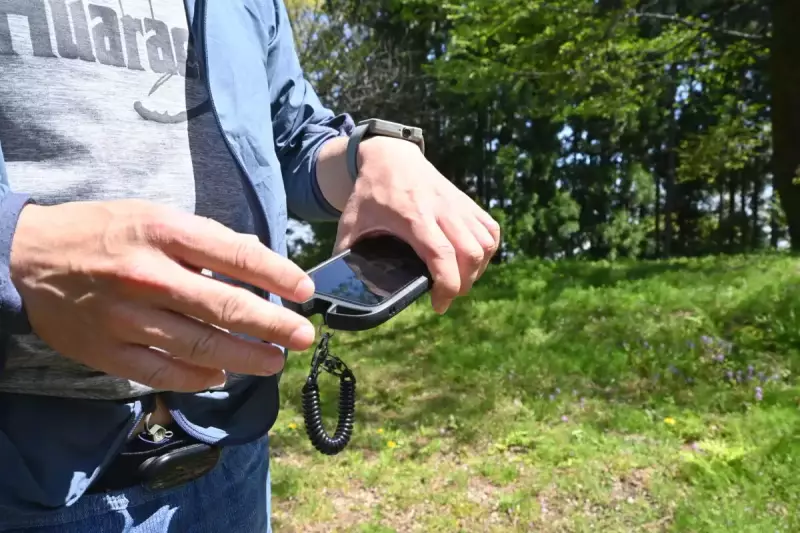 マフェトン理論