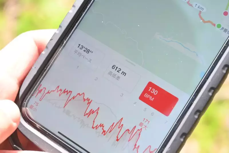 マフェトン理論 BPM