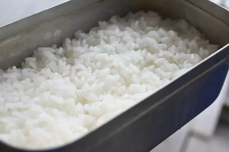 メスティン 炊飯 大人のソロキャンプ米