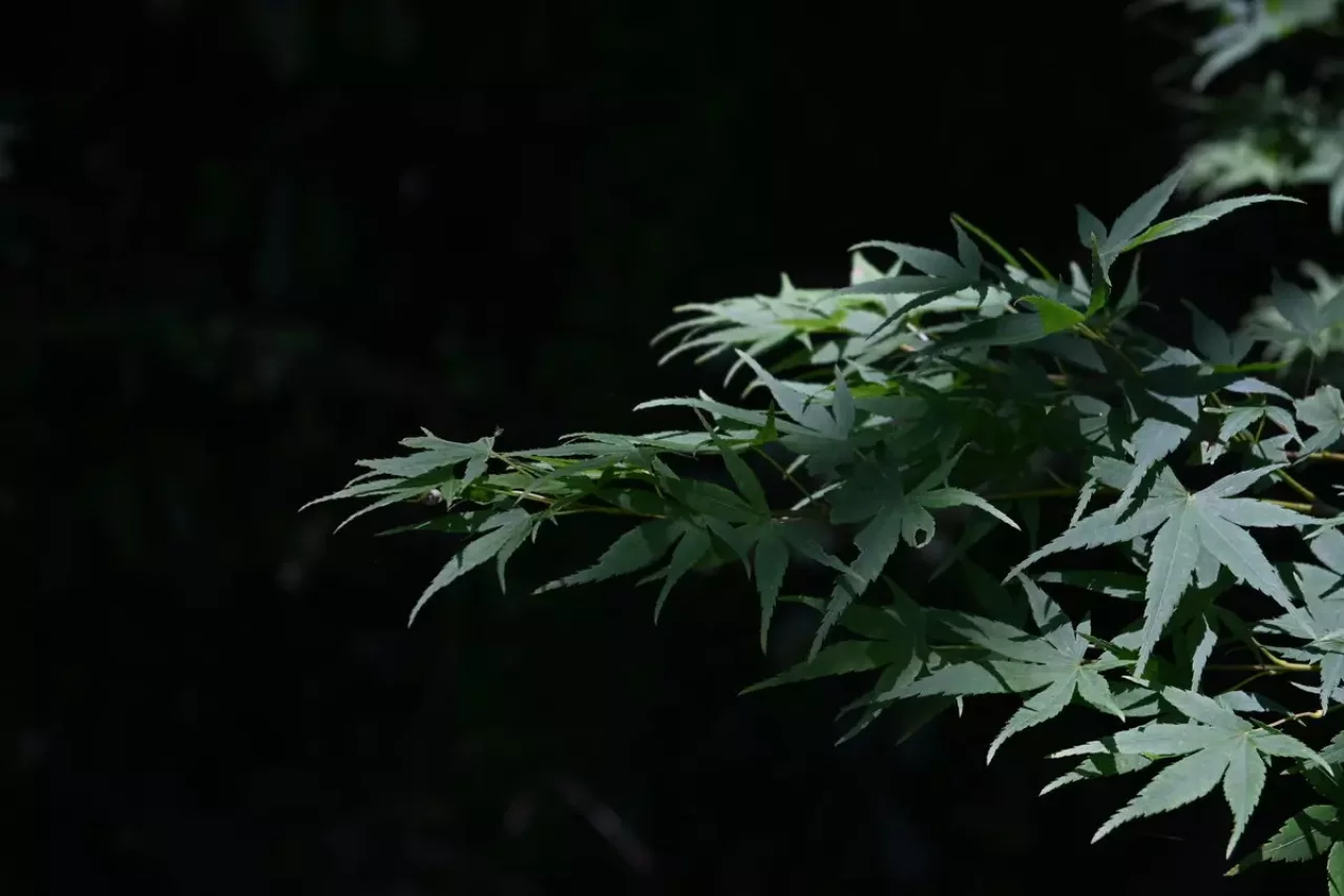 登山 構図 設定 実践