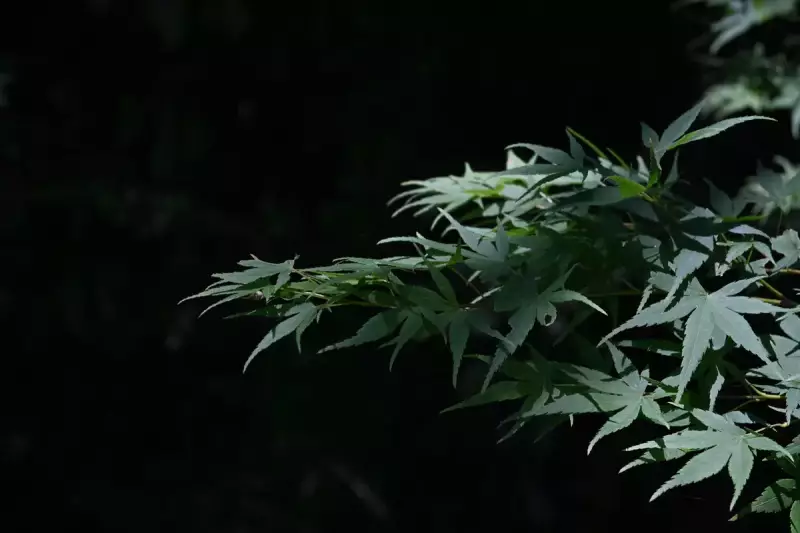 登山 構図 設定 実践