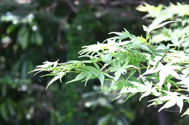 登山 構図 設定 実践