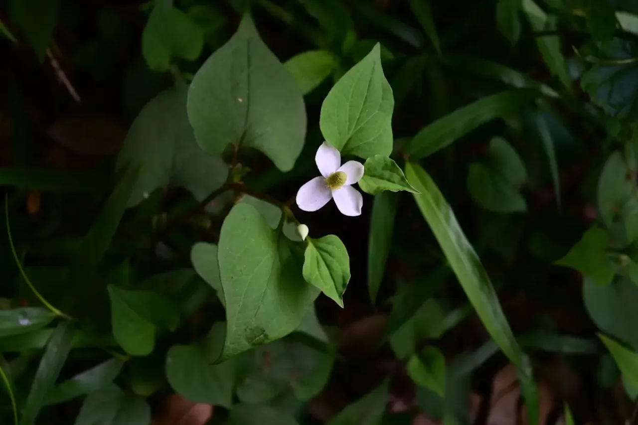 登山 構図 設定 実践