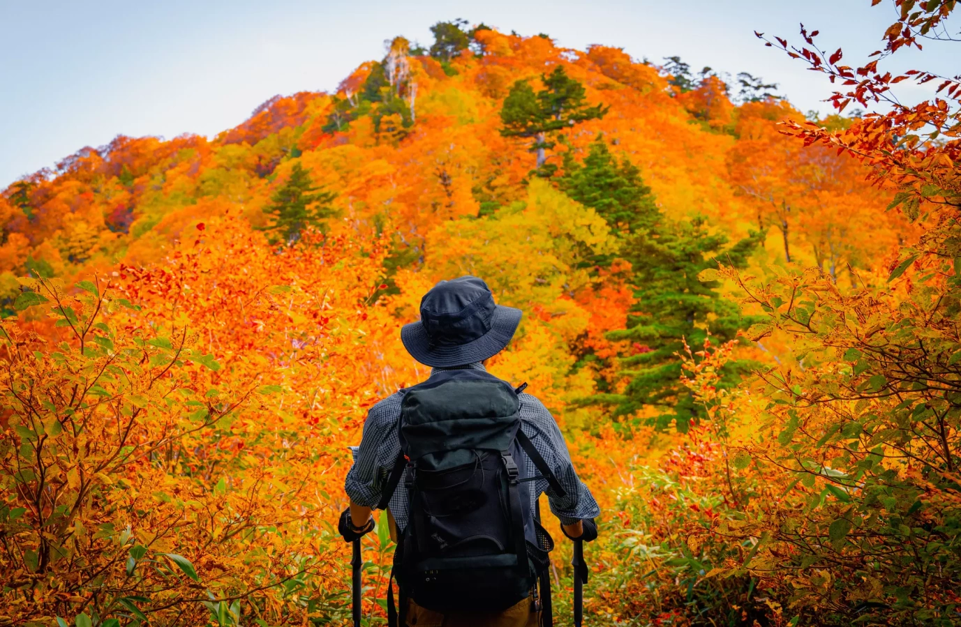 【11月が見ごろ!】関東の紅葉が美しい絶景登山コース15選