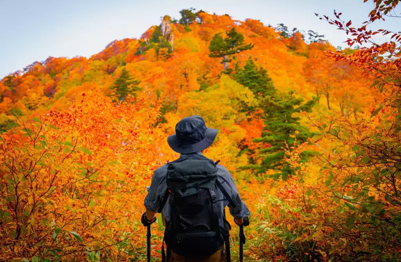 【11月が見ごろ!】関東の紅葉が美しい絶景登山コース15選