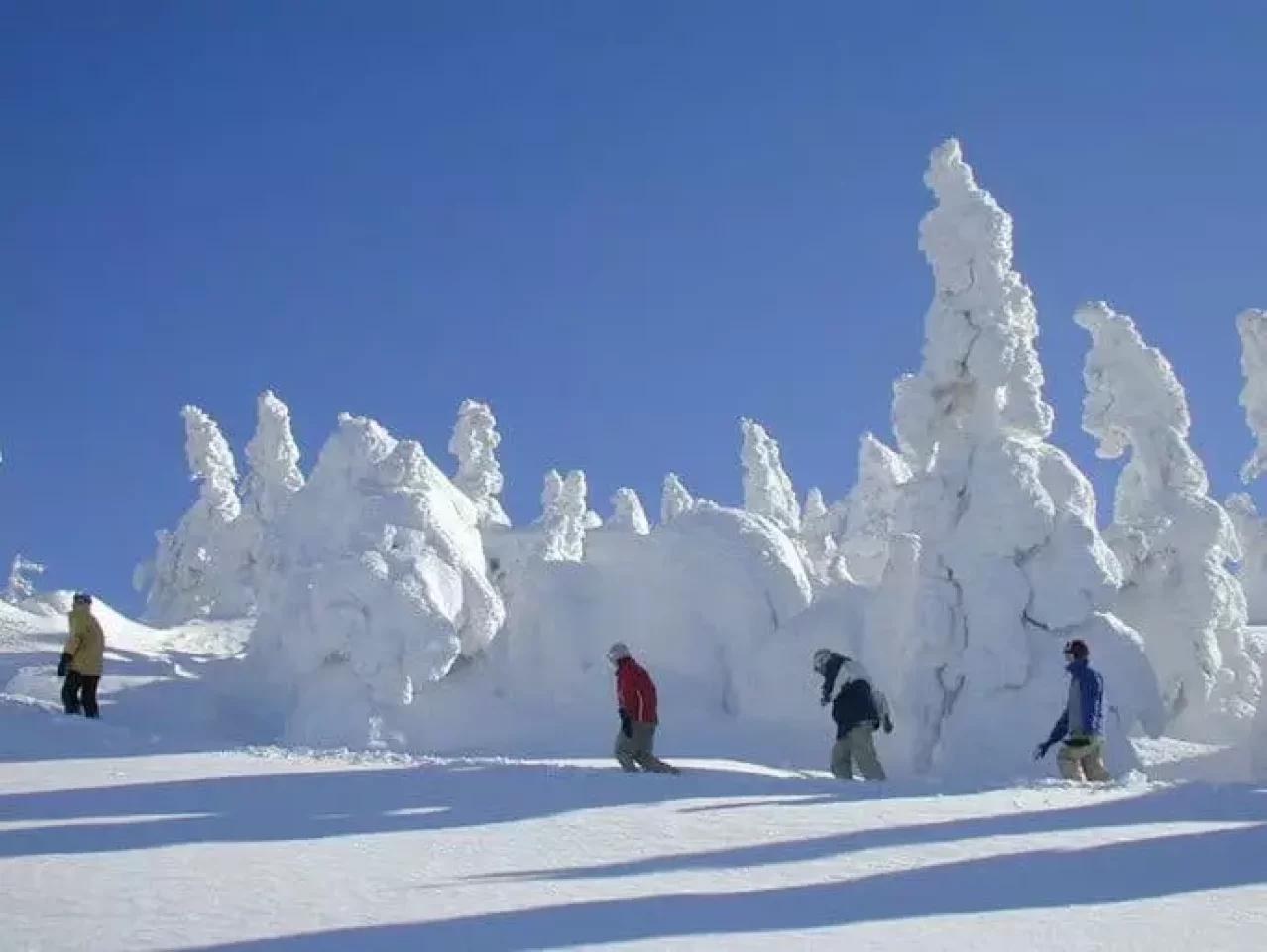 阿仁ゴンドラで行く 森吉山の樹氷鑑賞