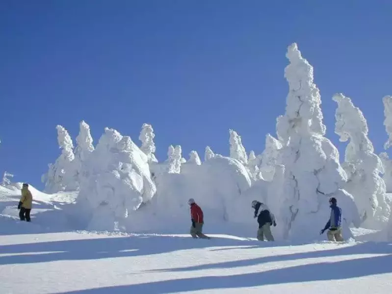 阿仁ゴンドラで行く 森吉山の樹氷鑑賞