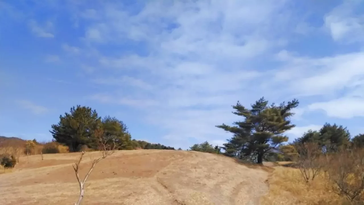 六甲山 登山 紅葉 東おたふく山