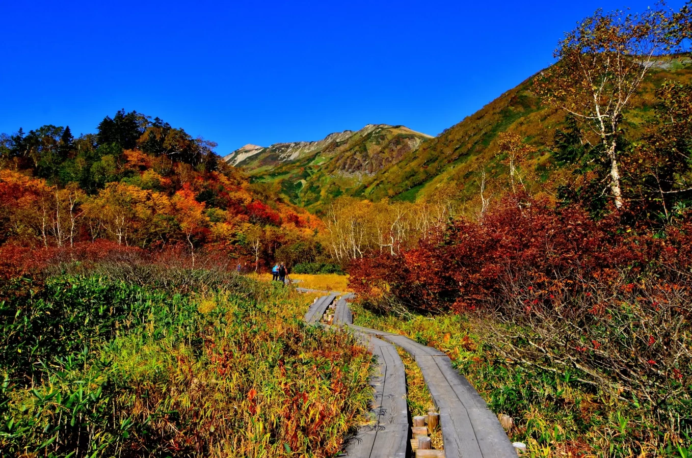 東海・北陸エリアのおすすめ紅葉登山12選!絶景紅葉スポットと登山コースを徹底解説