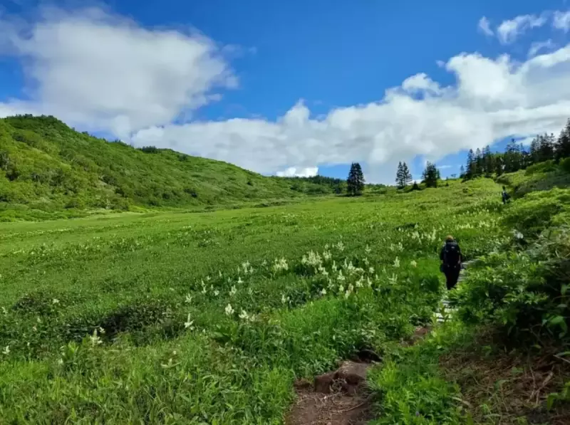 湿原を行く登山者