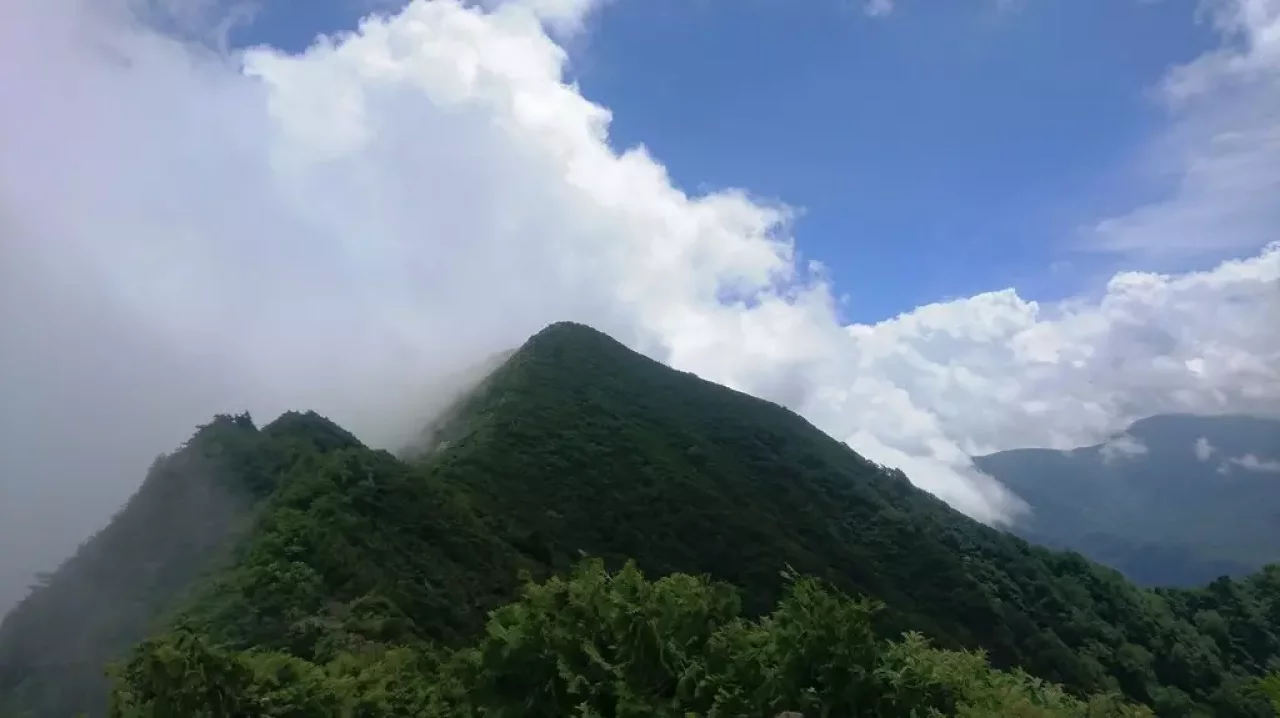 蔵王山(雁戸山)