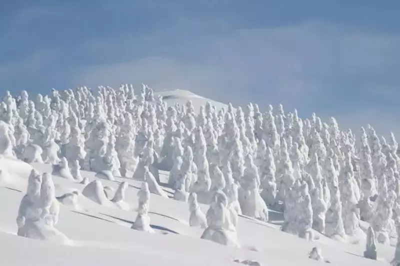 阿仁ゴンドラで行く 森吉山の樹氷鑑賞