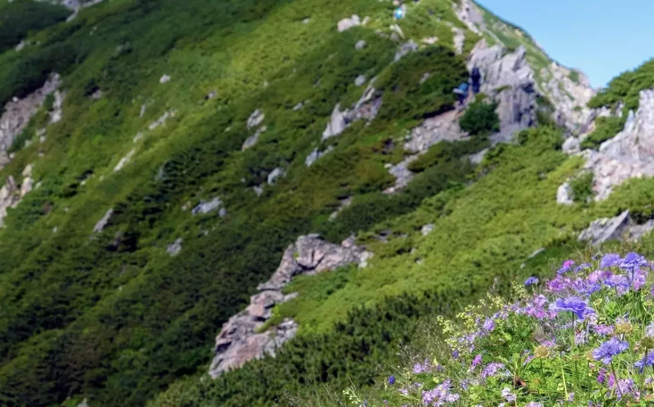 鳥小屋尾根ルートから茶臼岳の稜線に取りつく
